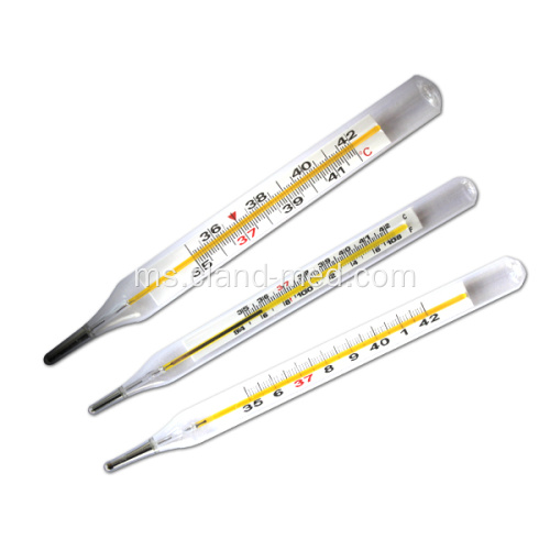 Penggunaan Gamma Thermometer Klinikal M, L